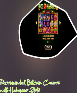Slot habanero
